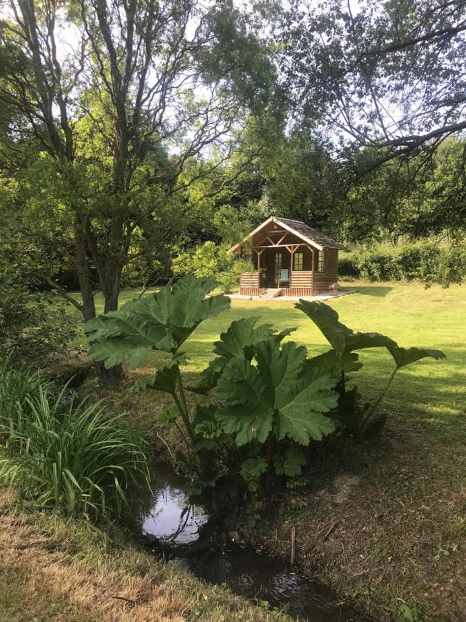 La Paix, Gite Bucolique En Normandie Condé-sur-Noireau エクステリア 写真