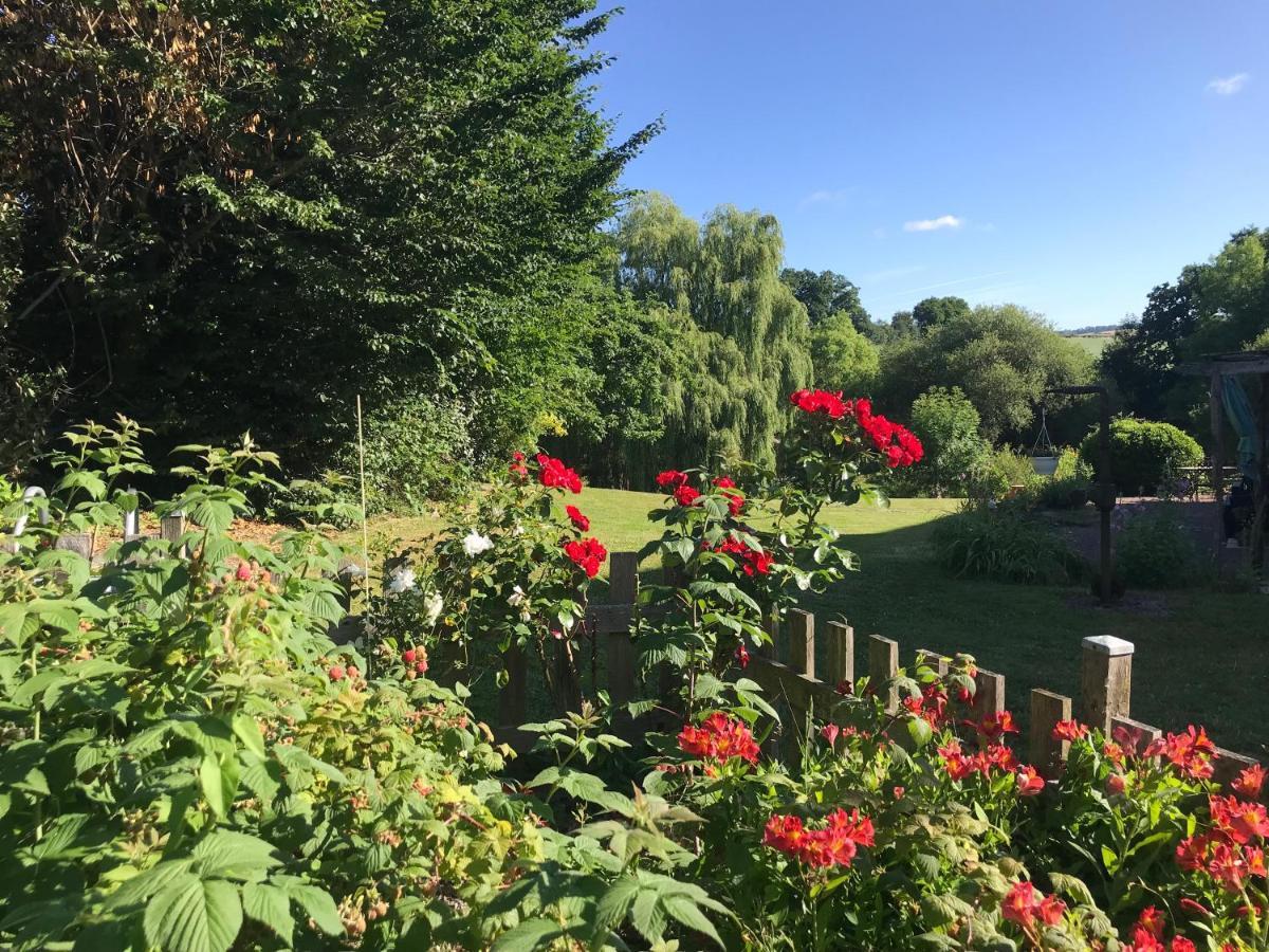 La Paix, Gite Bucolique En Normandie Condé-sur-Noireau エクステリア 写真