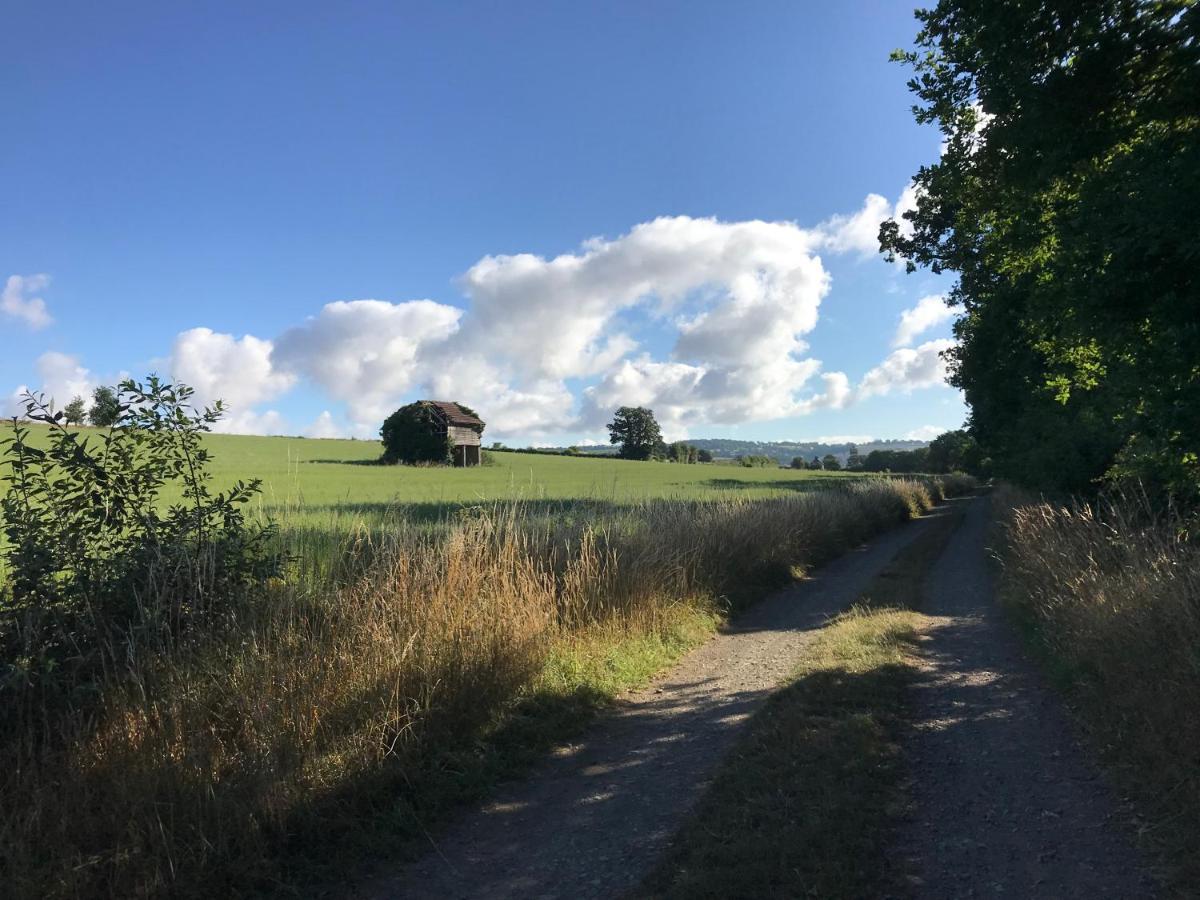 La Paix, Gite Bucolique En Normandie Condé-sur-Noireau エクステリア 写真