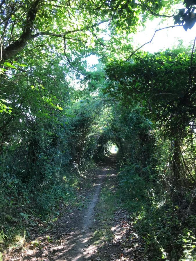 La Paix, Gite Bucolique En Normandie Condé-sur-Noireau エクステリア 写真